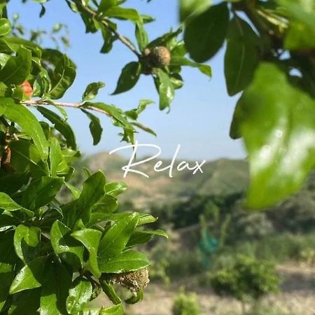 Casa Vacanze Sicilia Casteltermini Экстерьер фото