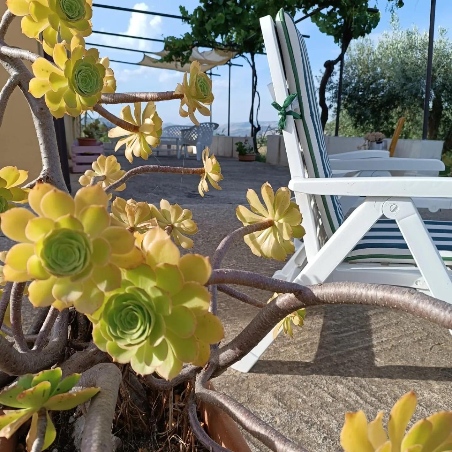 Casa Vacanze Sicilia Casteltermini Экстерьер фото